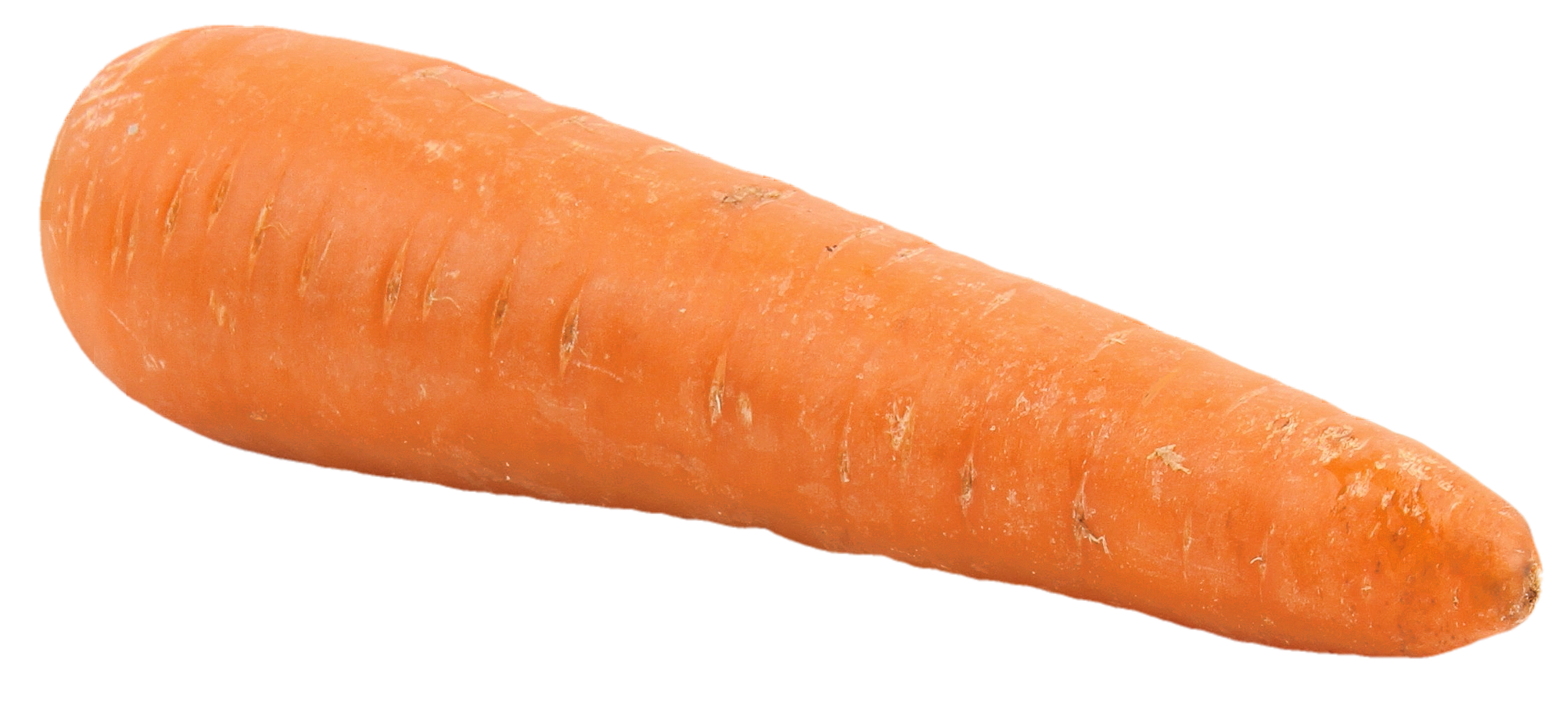 Realistic carrot